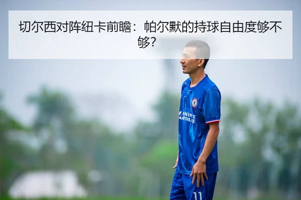 切尔西对阵纽卡前瞻：帕尔默的持球自由度够不够？